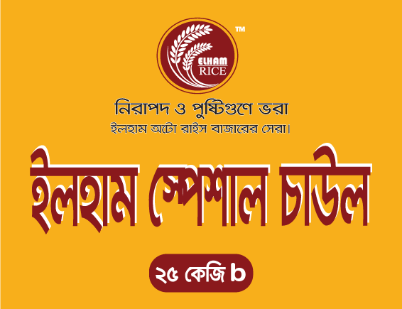 Elham Special  Rice